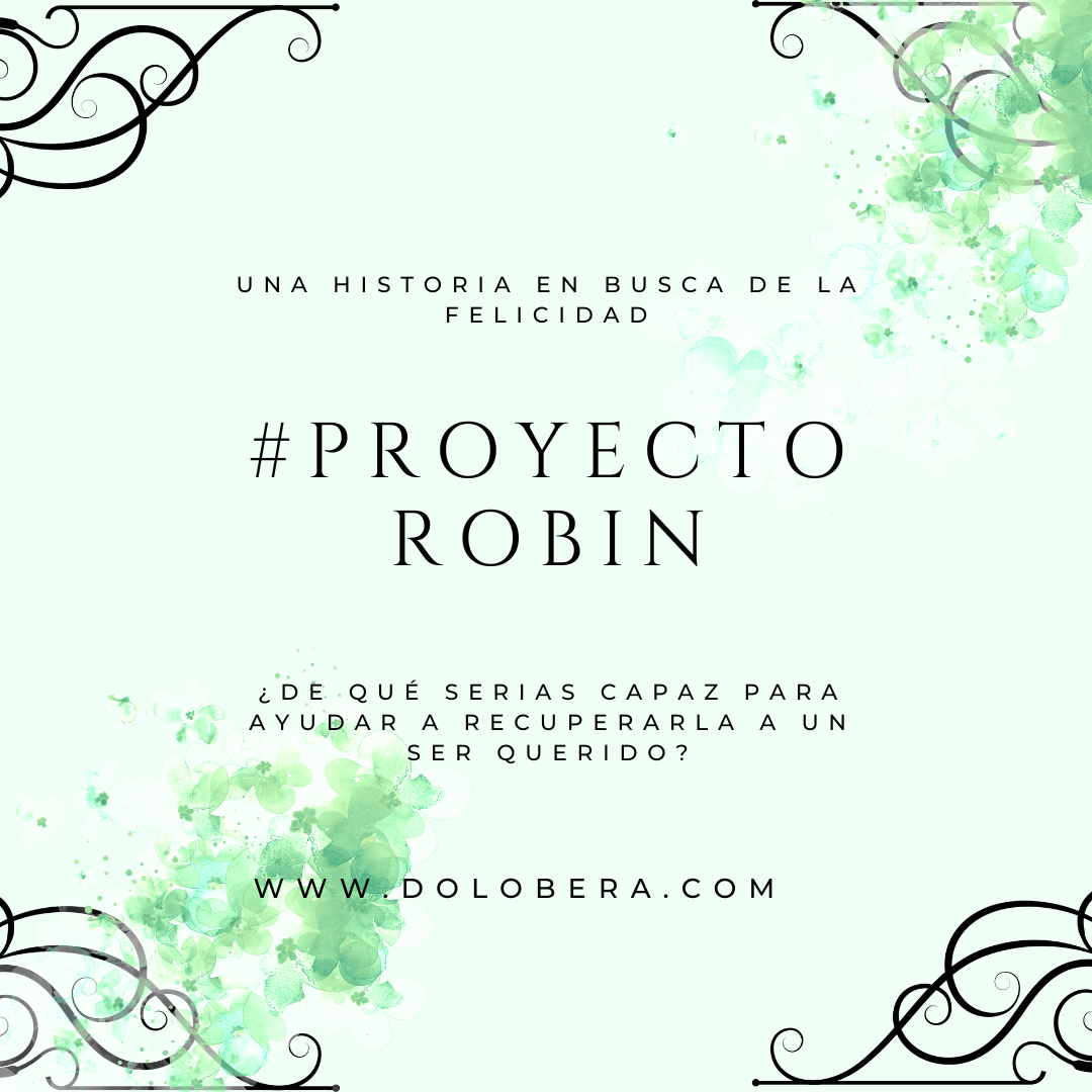 Proyecto Robin